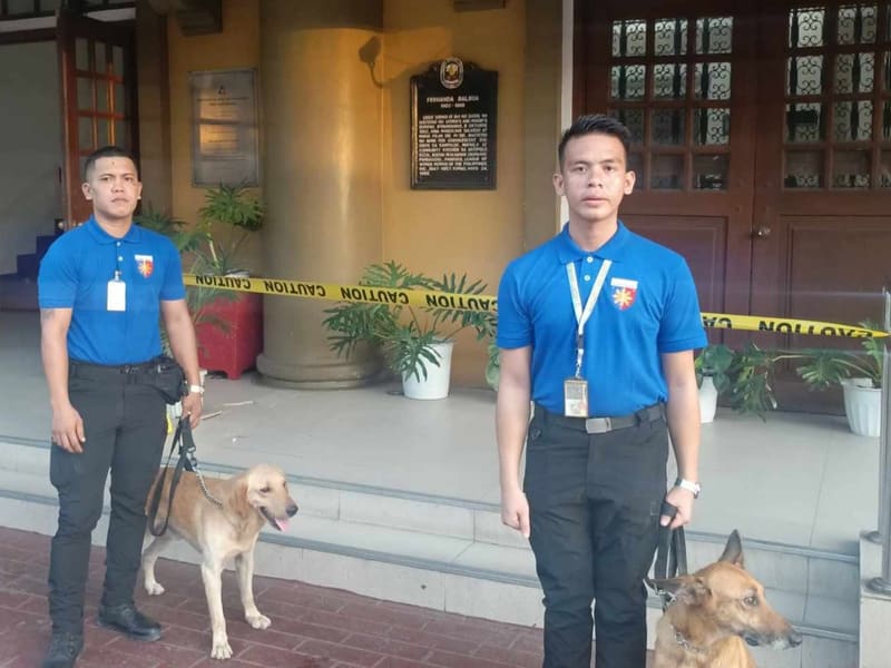 Hackett Security Agency K9 and CCTV capabilities
